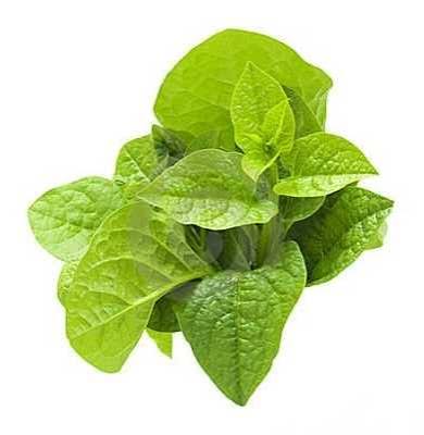 Pui Shak (Pui Spinach) 1 bundle