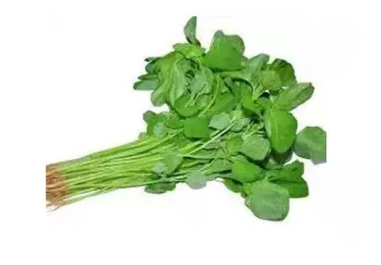 Data Shak (Data Spinach) 1 bundle