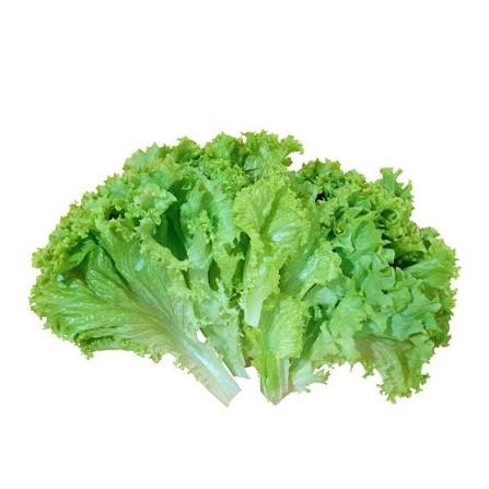 Lettuce Leaves ± 10 gm 100 gm