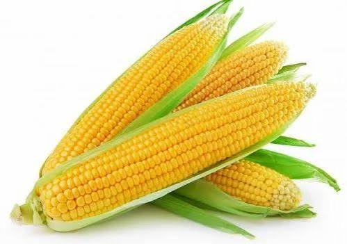 Corn ( Vutta ) each