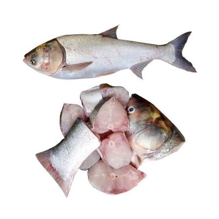 Silver Carp Fish After Cutting ±50 gm 1 kg
